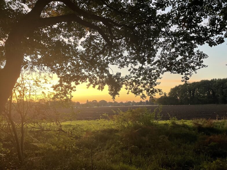 WS zonsopkomst laatste dag