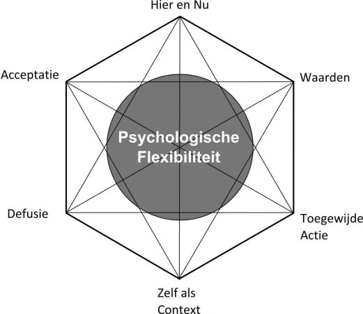 ACT hexaflex