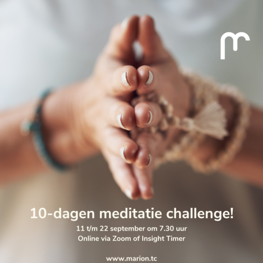 10 dagen challenge